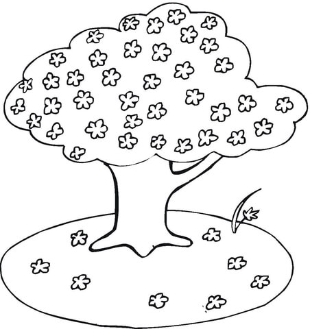 Blooming Cherry Tree Coloring Page